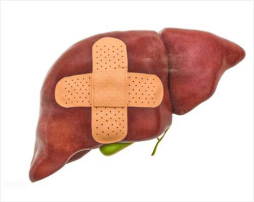 2 hành vi này của nam giới hại gan hơn uống rượu, đừng để muộn mới biết!